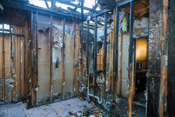 Professional Smoke Damage Removal technician working in Oakton, VA